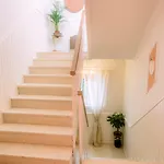 Sirena Hotel 3*